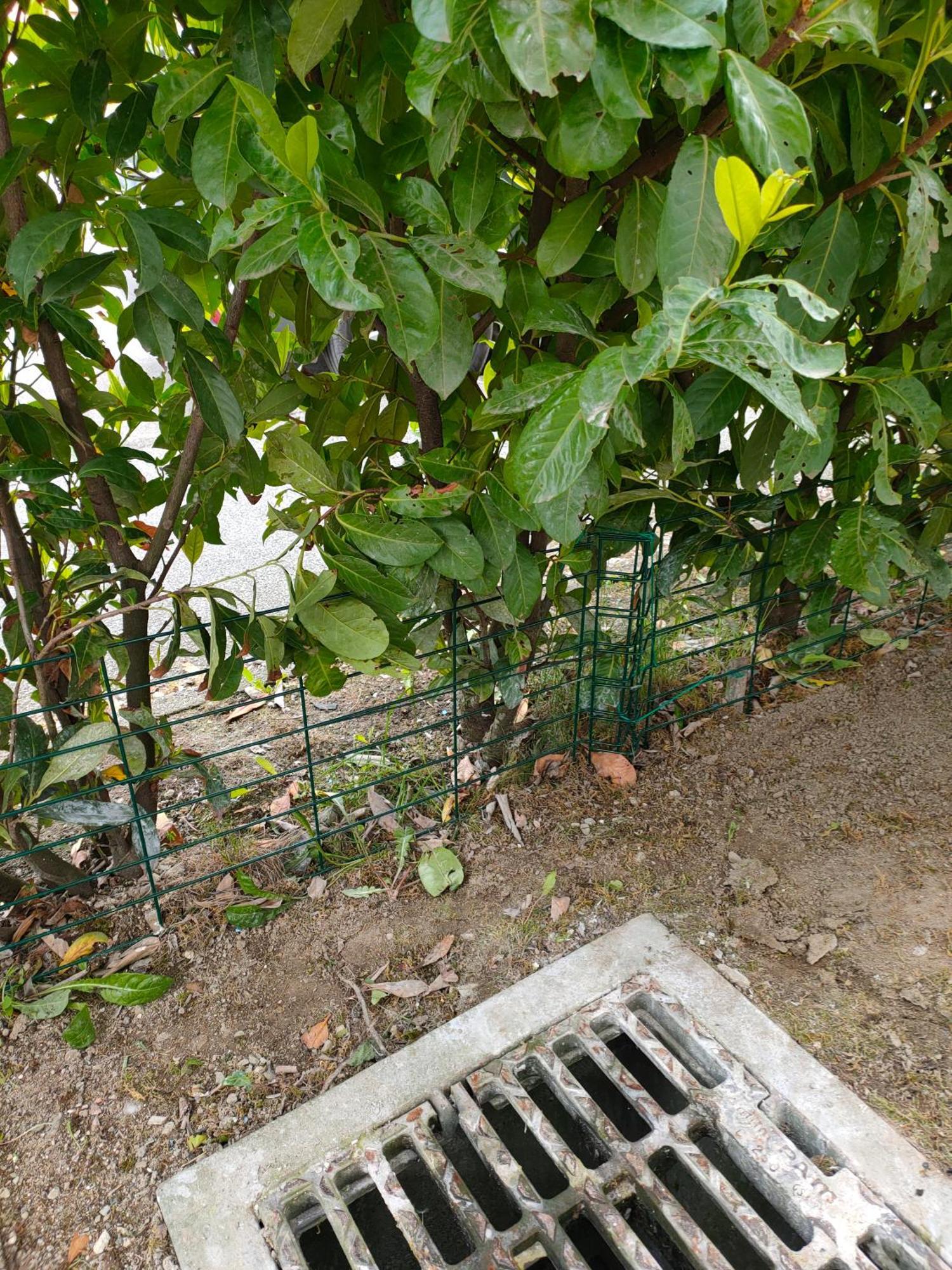 Le Nid Savoyard Apartment Faverges Luaran gambar