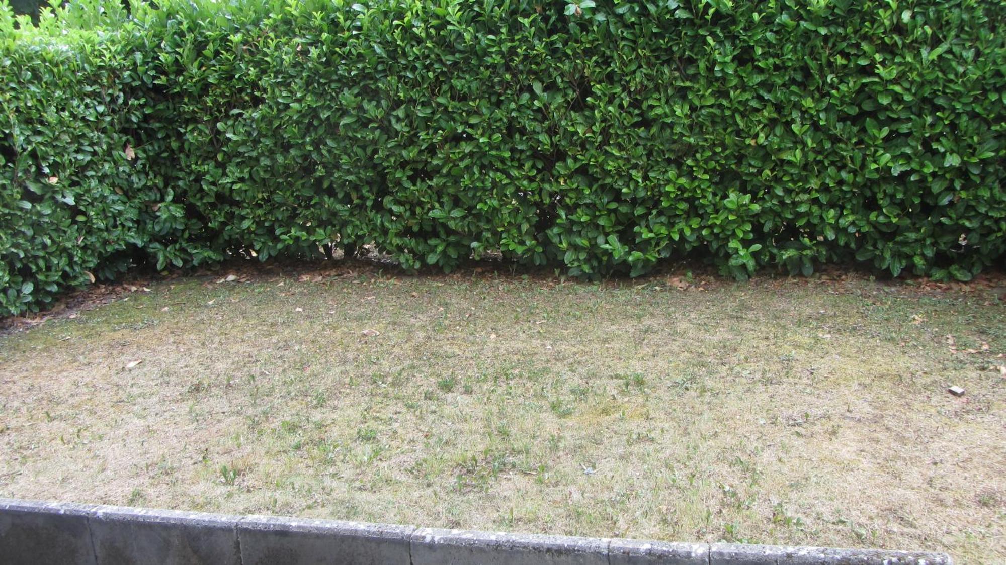 Le Nid Savoyard Apartment Faverges Luaran gambar